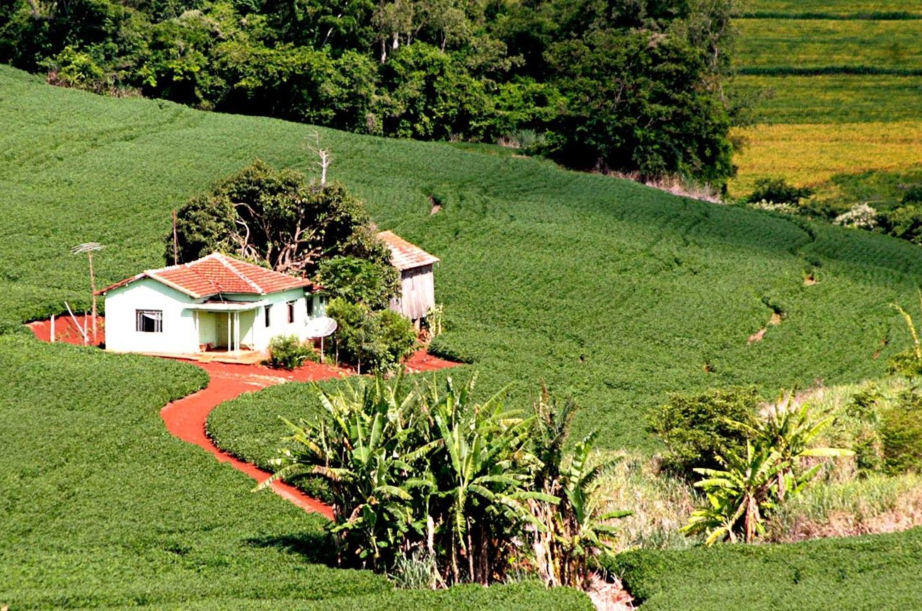 Usucapião de imóvel rural: a proteção do pequeno agricultor sob a ótica do STJ - Anoreg-PR