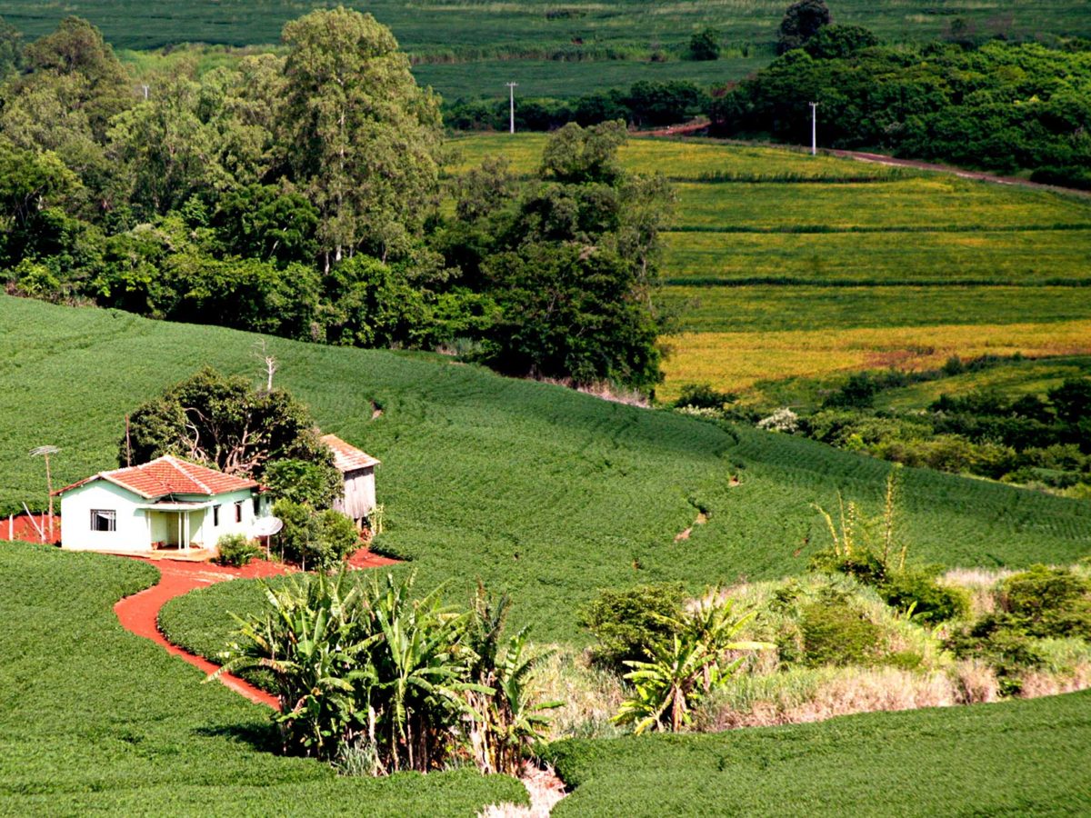 Câmara - Projeto prevê autonomia privada para contratos de arrendamento rural