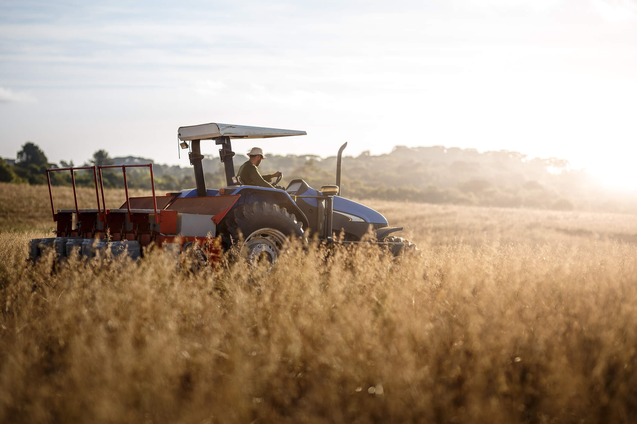 Campanha “Cartório é Agro: parceiro amigo do agronegócio brasileiro” destaca contribuições do setor para o agrobusiness nacional