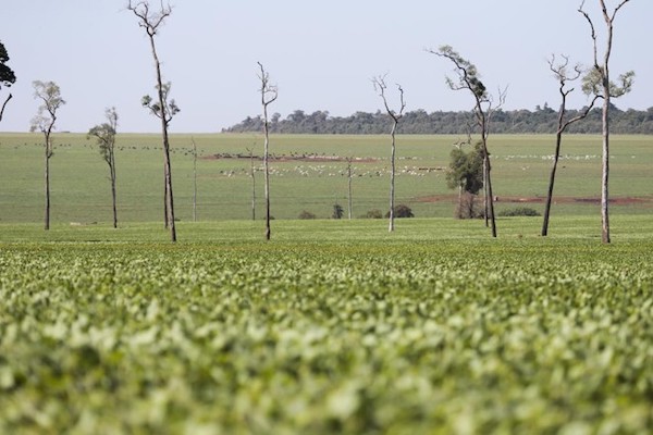 Governo do Paraná - Paraná e União vão atuar na regularização de terras na faixa de fronteira