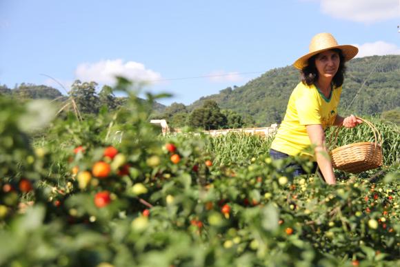Câmara - Projeto incentiva ações para beneficiar trabalhadora rural familiar com título da reforma agrária