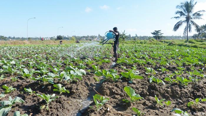 Clipping – Agrolink - Investidores em propriedades rurais precisam adotar cautelas na hora da compra