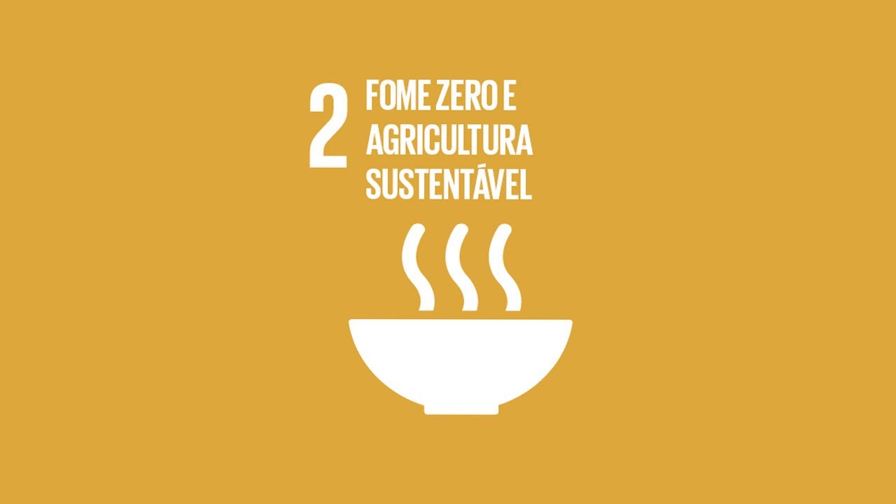 Doação de alimentos e incentivos à agricultura são parte da atuação dos cartórios para o ODS 2