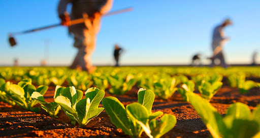 Mato Grosso desenvolve projeto que regulariza produção agrícola indígena