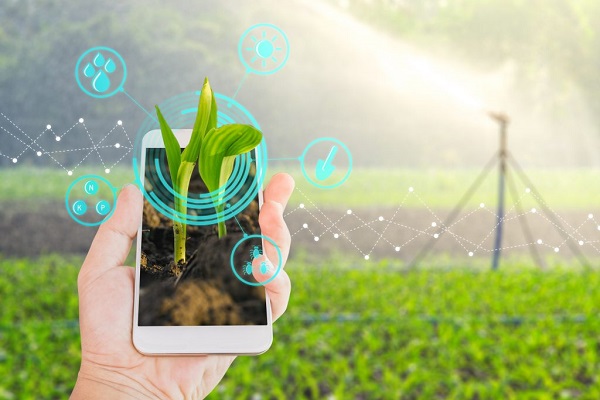 Clipping – Exame - Adoção de blockchain vai impulsionar agronegócio, diz Ministério da Agricultura