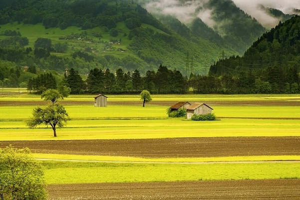 Aquisição da propriedade rural sobre terras devolutas: Um enfoque a partir do estudo de sua função social