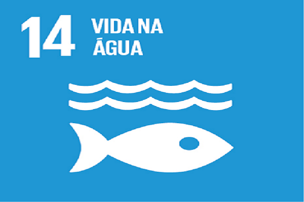 Cartórios contribuem com ações de conservação e uso sustentável dos oceanos e recursos marinhos previstas no ODS 14