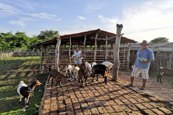 Câmara dos Deputados - Frente Parlamentar Ambientalista discute regularização fundiária de imóveis da União