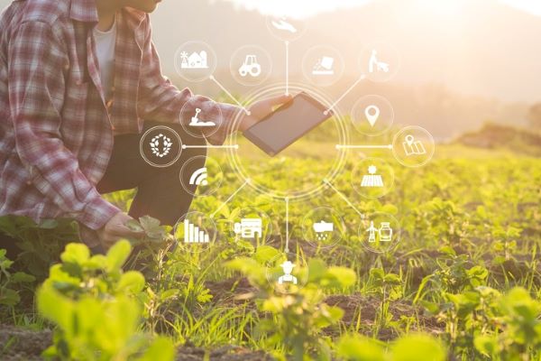 Blockchain: processo que promete otimizar os serviços cartorários no Agronegócio
