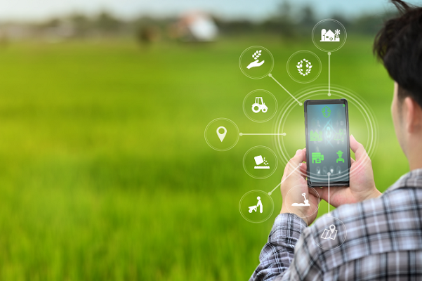 Progresso - Cadastro de imóveis rurais será completamente digitalizado