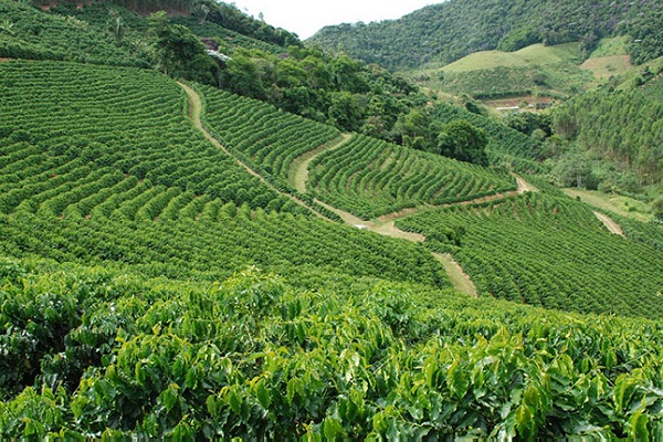 Projeto promove a regularização das terras de 50 agricultores familiares em Mato Grosso