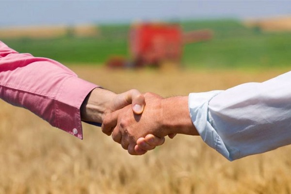 Cartório de Registro de Títulos e Documentos auxilia produtores rurais a formalizarem contratos de arrendamento e parceria rural