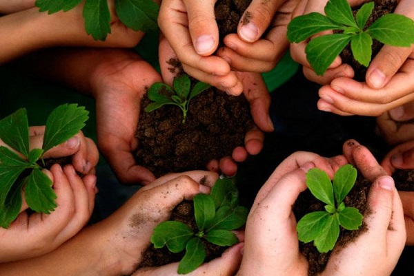 AnoregBR - I Simpósio Internacional de Sustentabilidade Socioambiental