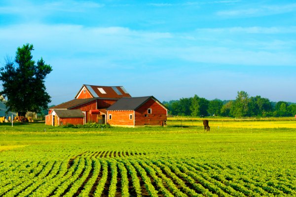 STJ - Espólio de usufrutuária vitalícia tem legitimidade para propor ação de rescisão de arrendamento rural