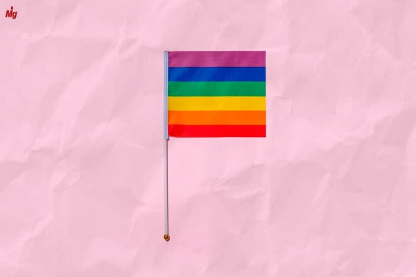 Migalhas - Artigo: Qual é o sexo? A busca por direitos sexuais no provimento 122/21 do CNJ – Por Elis Maria Peixoto e Flávio Kummer Hora Filho
