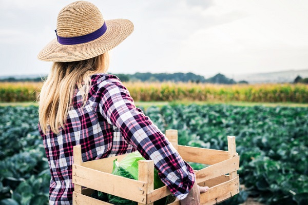 Mulheres à frente de agronegócios: conheça a história da produtora rural Zulmira dos Santos Romão