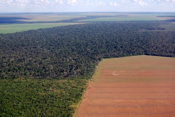 Terras indígenas: FPA pretende derrubar vetos da Lei n. 14.701/2023