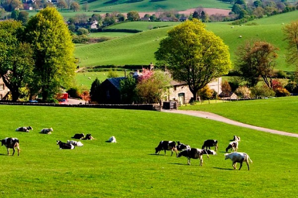 Artigo - Planejamento sucessório e o ganho de capital na alienação de imóvel rural - Por Fernanda Teodoro Arantes