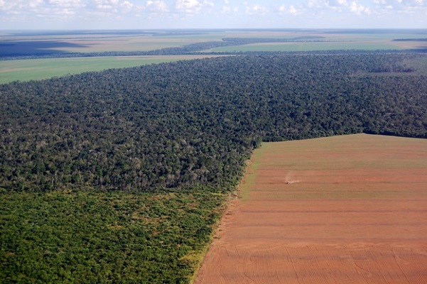 Portaria aprova a Pauta de Valores de Terra Nua para fins de titulação de assentamentos e regularização