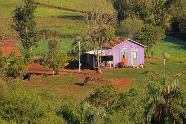 Comissão aprova projeto que facilita exploração florestal em pequena propriedade familiar