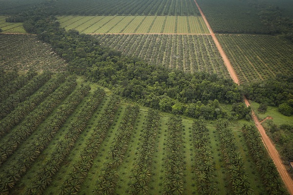 CAPADR da Câmara dos Deputados aprova PL que destina à reforma agrária imóvel rural recebido pela União