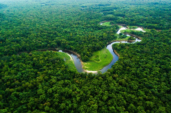CNJ estabelece o Programa Permanente de Regularização Fundiária na Amazônia Legal e institui a Semana Nacional
