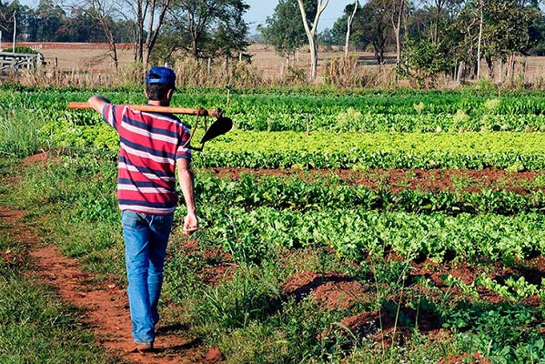 Ex-presidente do Incra orienta censo agrário para regularizar assentamentos
