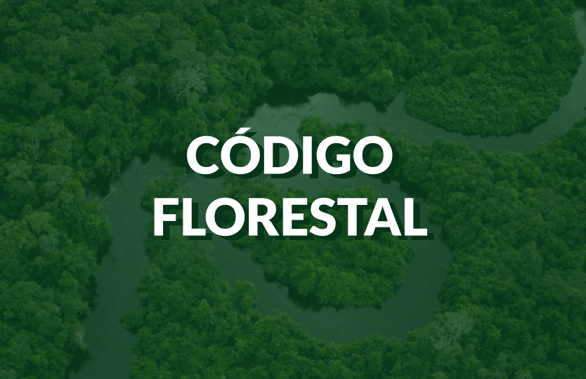 Código Florestal e CAR ainda enfrentam dificuldades de implementação