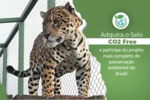 Selo CO2Free: compromisso ambiental dos Cartórios extrajudiciais do Brasil