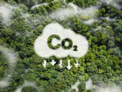COP 30: Em audiência pública no Amazonas, CNJ reitera compromisso com carbono zero