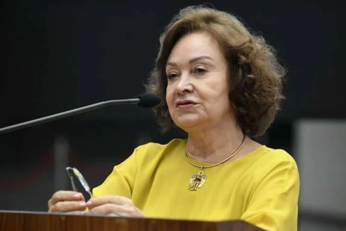 Informativo de Jurisprudência do STJ destaca possibilidade de retificação do registro civil para adoção de gênero neutro