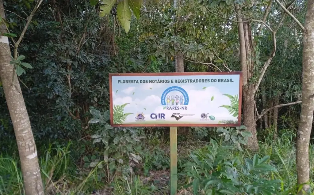 Floresta dos Notários e Registradores do Brasil: um marco ambiental para os Cartórios brasileiros