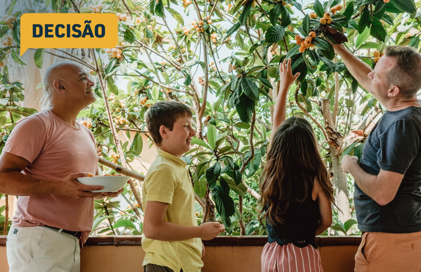 TJPR reconhece parentalidade socioafetiva e mutiparentalidade