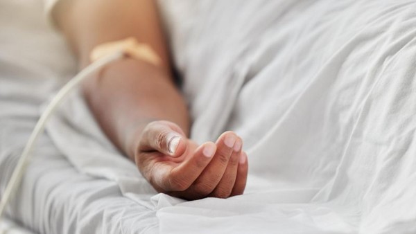 G1 - Lei que garante meia-entrada para doadores de órgãos está em vigor, no Paraná; veja como ter benefício