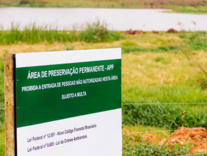 Não existe usucapião de imóvel em área de preservação permanente, decide STJ