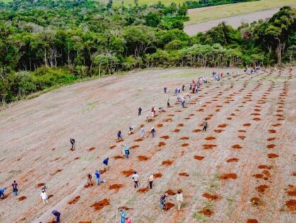 Acordo põe fim ao conflito agrário histórico no oeste do Paraná