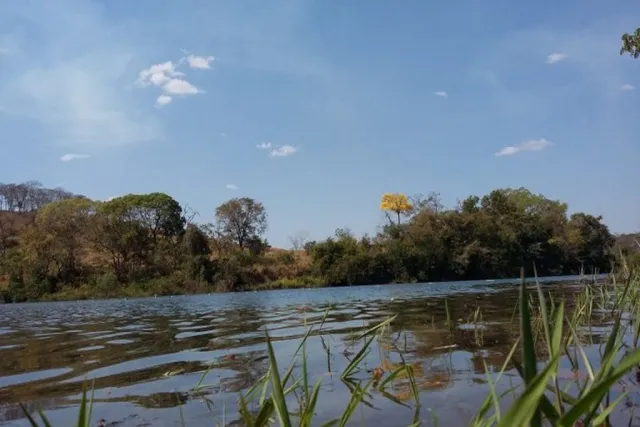 Artigo - Termo de compromisso e gestão transitória em unidade de conservação: Parque da Serra da Canastra