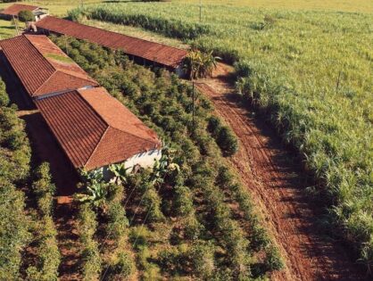 STJ: Arrendamento rural se extingue com perda da posse na Justiça