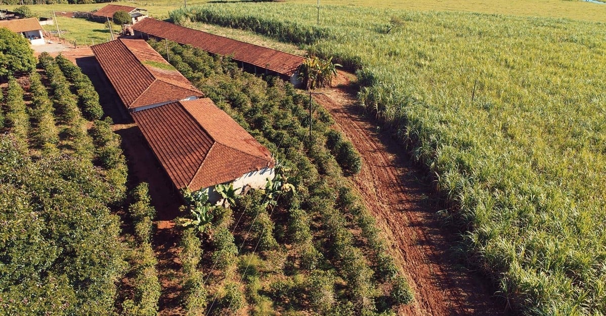 STJ: Arrendamento rural se extingue com perda da posse na Justiça