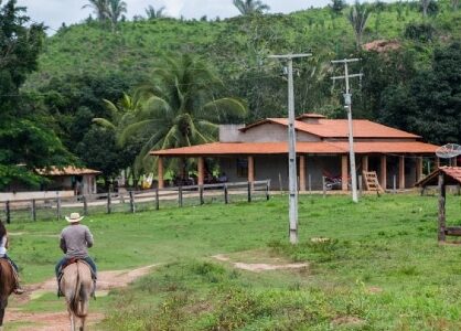 Artigo - Arrendamento de imóvel rural à luz da sua função social