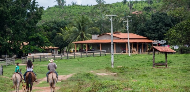 Artigo - Arrendamento de imóvel rural à luz da sua função social