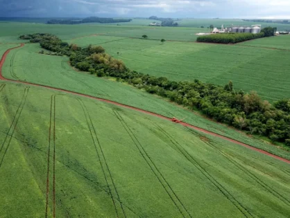 Brasil amplia o número de imóveis rurais inscritos no CAR, mas implementação do Código Florestal avança de forma insatisfatória