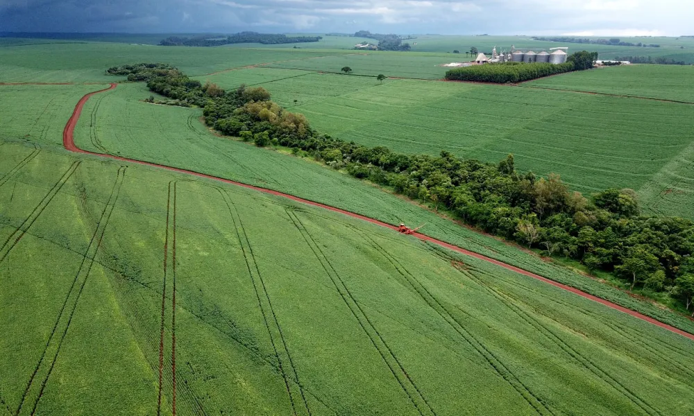 Brasil amplia o número de imóveis rurais inscritos no CAR, mas implementação do Código Florestal avança de forma insatisfatória