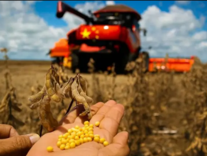 STF tem cinco votos pela validade de restrições à compra de terras por empresas brasileiras controladas por estrangeiros