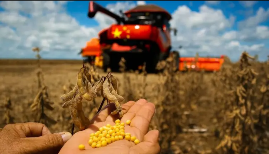 STF tem cinco votos pela validade de restrições à compra de terras por empresas brasileiras controladas por estrangeiros