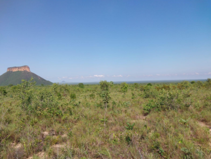 Instrução Normativa ICMBIO define regras para regularização de terras em Unidades de Conservação com fins de regularização fundiária