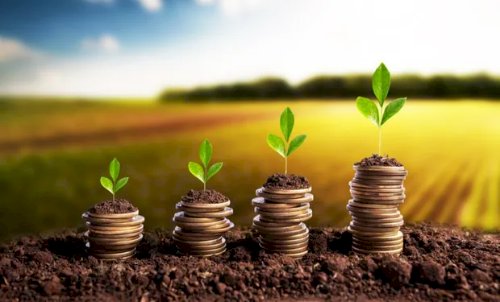 CPR e industrialização impulsionam o crédito rural