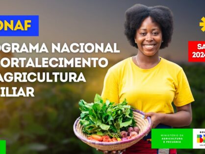 Resolução ajusta normas do Programa Nacional de Fortalecimento da Agricultura Familiar e do RenovAgro