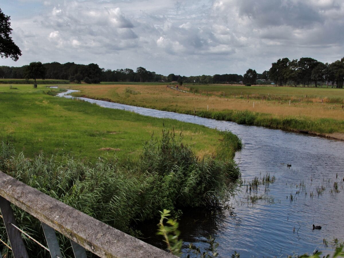 Penhora de terra acima de quatro módulos fiscais deve se limitar à área excedente