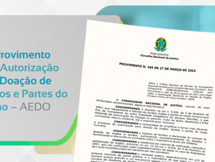 Provimento n. 223 do CNJ institui o Programa Nacional de Execução Efetiva e estabelece diretrizes para a modernização da execução extrajudicial